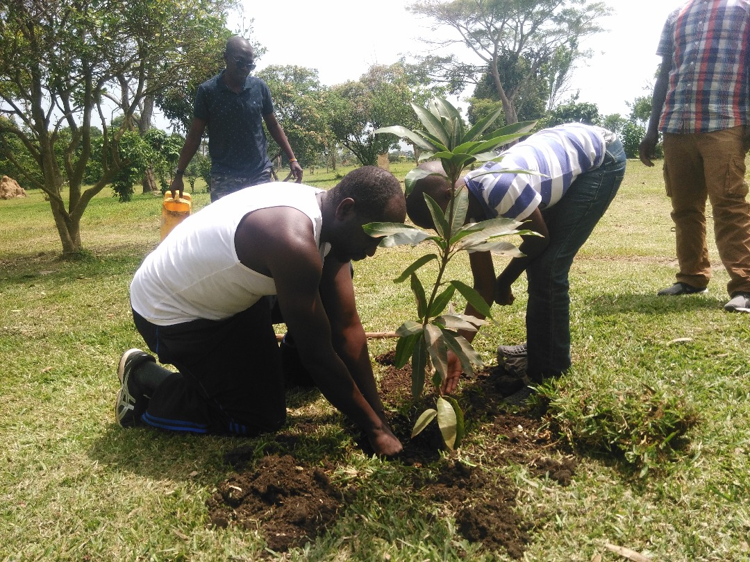 Planting Trees in Katosi