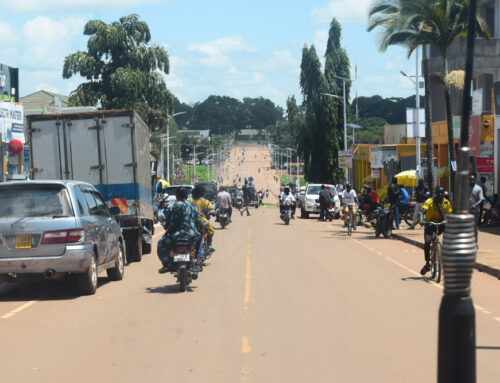 AFRICA KWETU TOUR – Day 3 and 4: The drive to the magnificent Aruu Falls, Surprise Meaty ribs and the Escape Plan